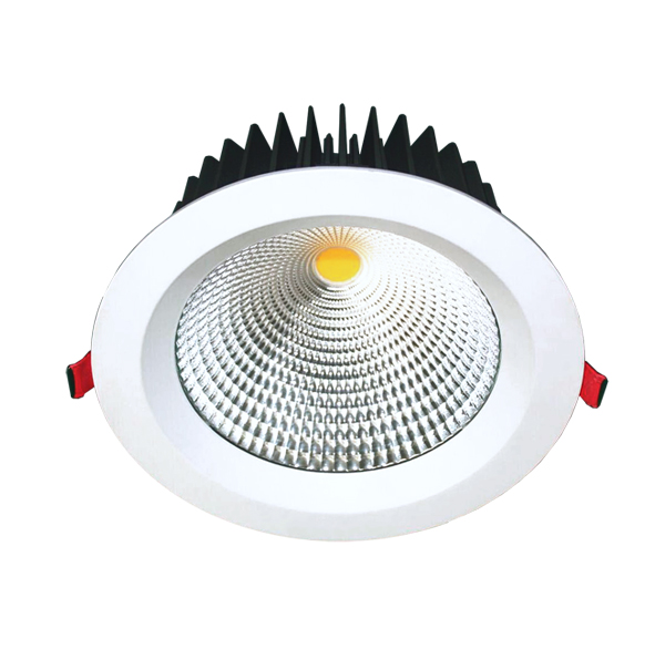 POLO-LED-1.jpg